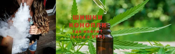 тгк Медногорск