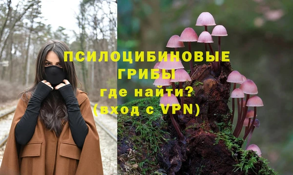 герыч Алзамай
