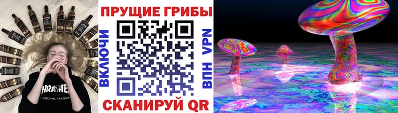 Галлюциногенные грибы Magic Shrooms  купить   Анадырь 